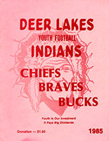 DLYF 1985 Program